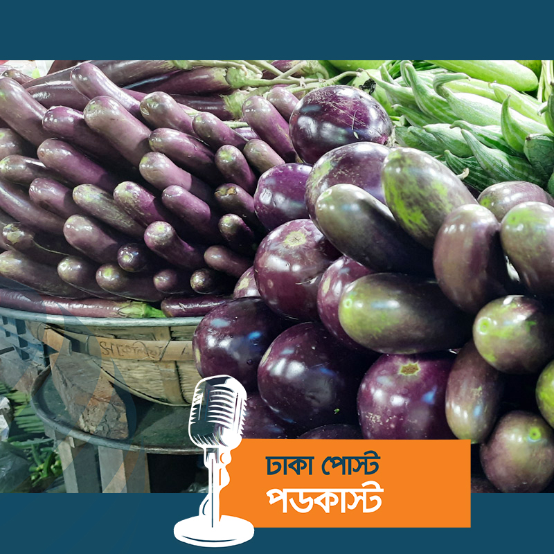 কিছুটা কমেছে কাঁচামরিচ-বেগুনের দাম