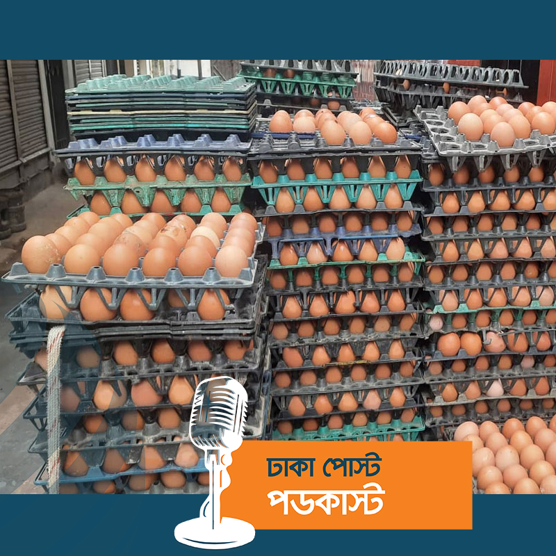 অর্ধেকে নেমেছে ডিমের চাহিদা