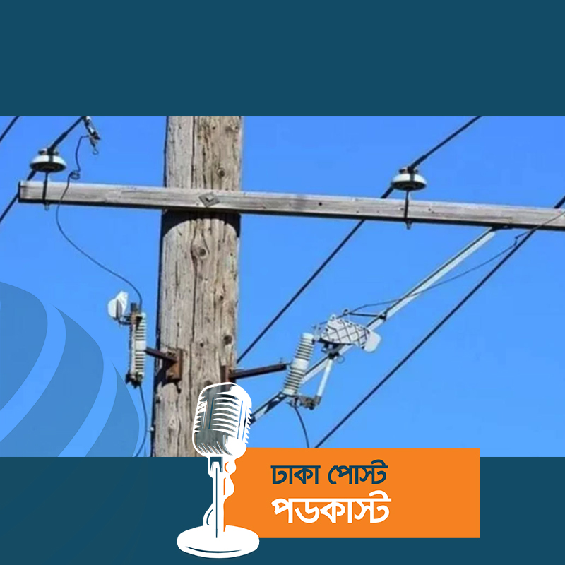 বাঘারপাড়ায় বিদুৎস্পৃষ্টে ভাই-বোন নিহত