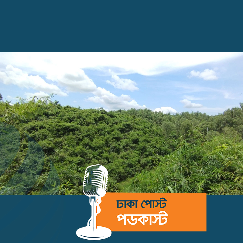 শ্রীমঙ্গলে চা বাগানে মাটিচাপায় চার নারীর মৃত্যু