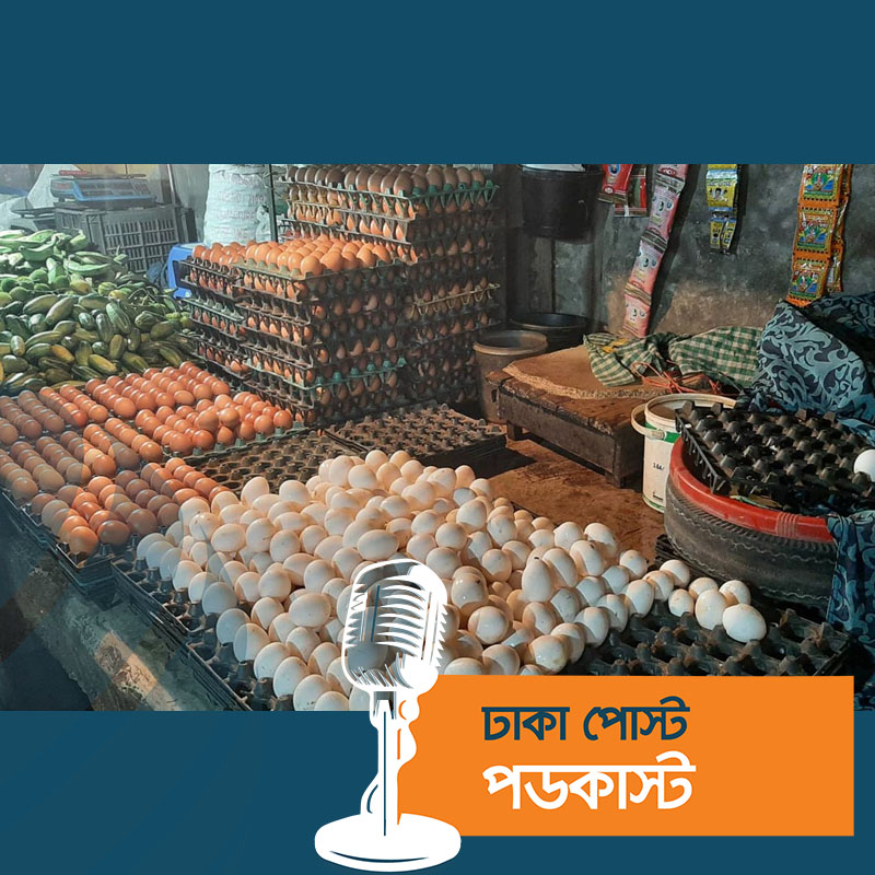 হালিতে ডিমের দাম কমলো ৫ টাকা