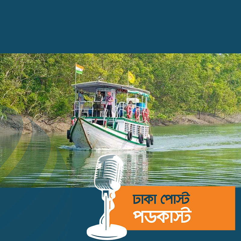 বৃহস্পতিবার সকালে উন্মুক্ত হচ্ছে সুন্দরবন