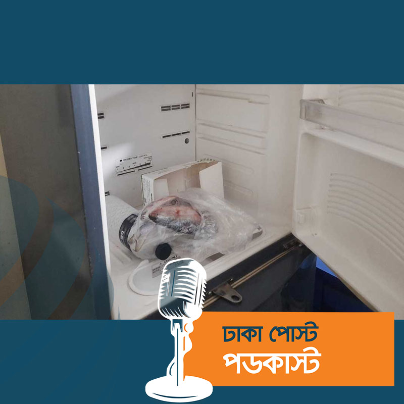 হাসপাতালের ল্যাবে ইলিশ মাছ, সিলগালা করে দিলেন ম্যাজিস্ট্রেট