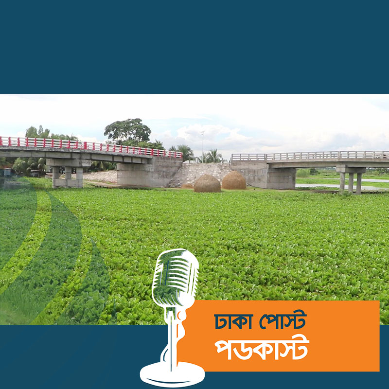 জোড়া সেতুতে বদলে গেছে বিচ্ছিন্ন ৩ গ্রাম