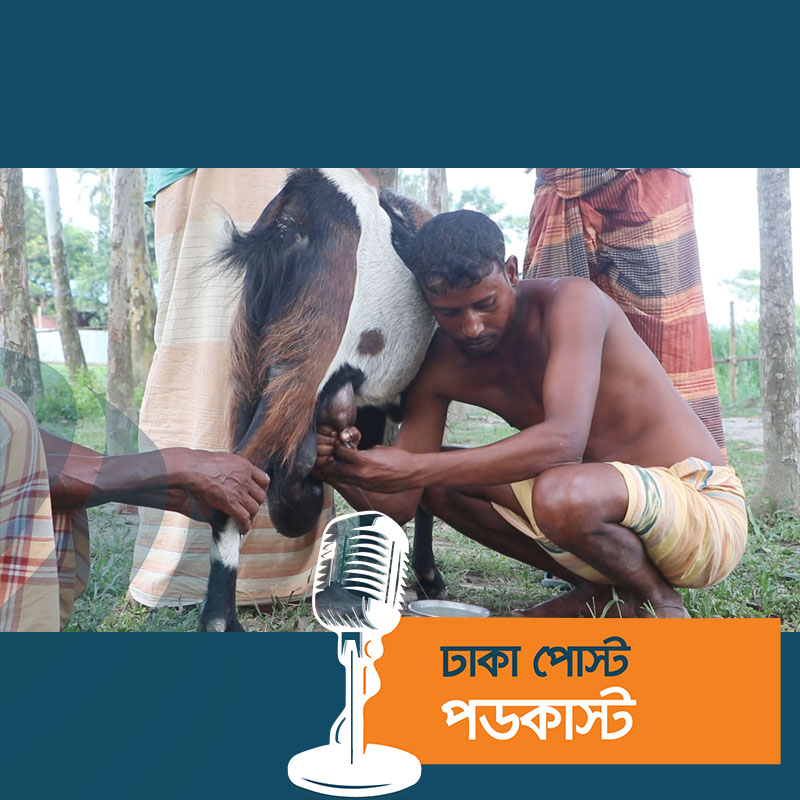 দুধ দিচ্ছে পাঁঠা!