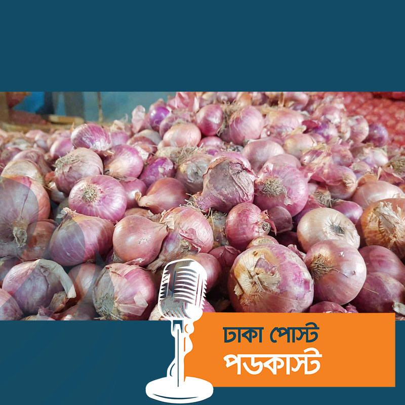 হিলিতে পেঁয়াজের কেজি ১৬ টাকা