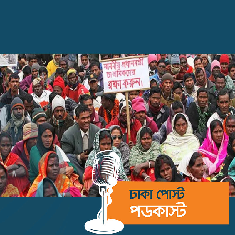 চা-শ্রমিকদের কর্মবিরতি প্রত্যাহার, আগের মজুরিতে কাজের সিদ্ধান্ত