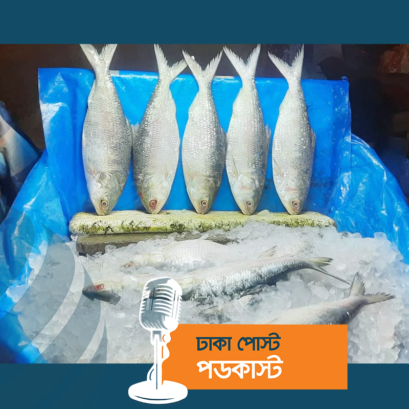 ইলিশে সয়লাব বাজার, তবুও দাম চড়া