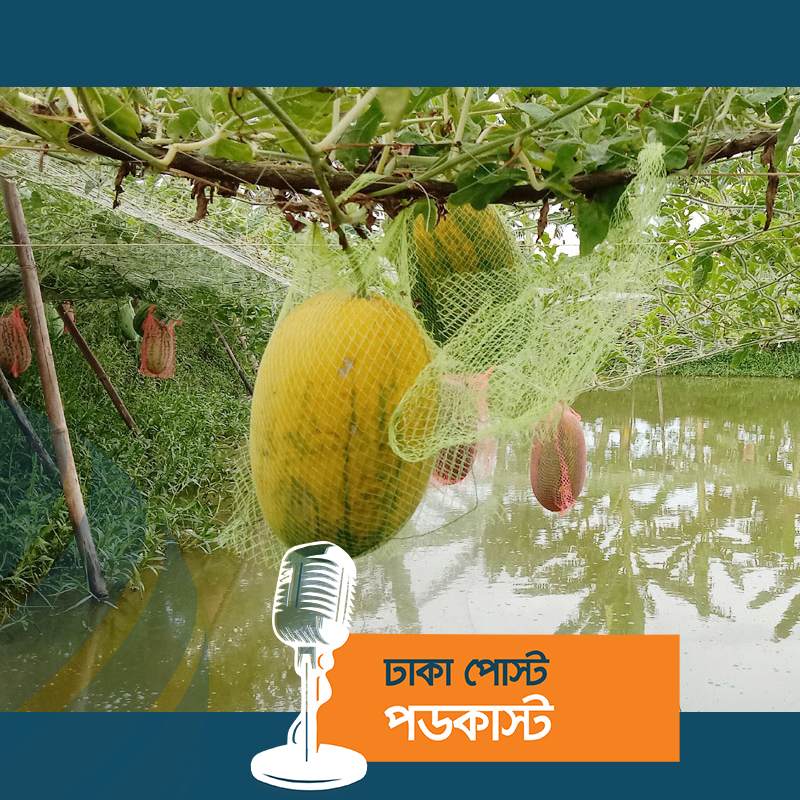 অসময়ে তরমুজ চাষ করে দুই ভাইয়ের বাজিমাত