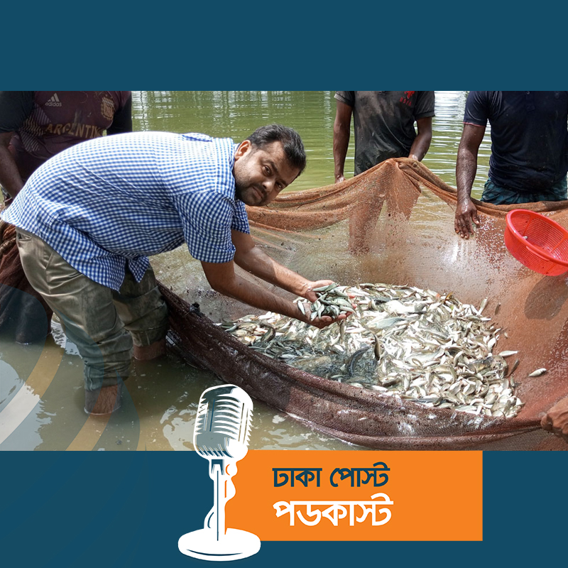 এমবিএ করা তারেক মাছ চাষে দেশসেরা