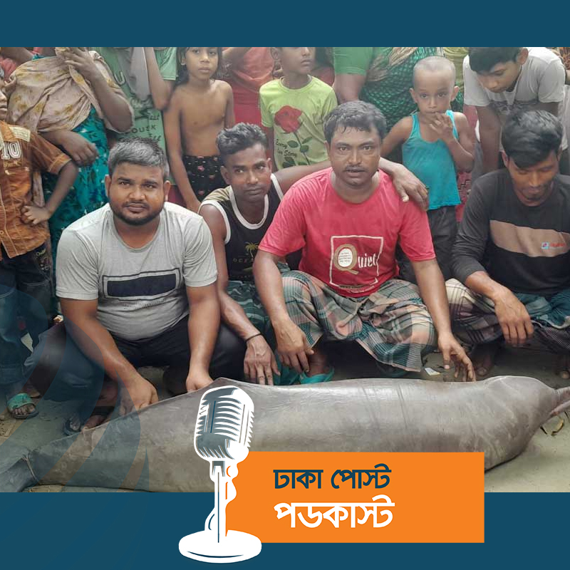 শিকার নিষিদ্ধ ১০০ কেজির শুশুক ১৫ হাজারে বিক্রি