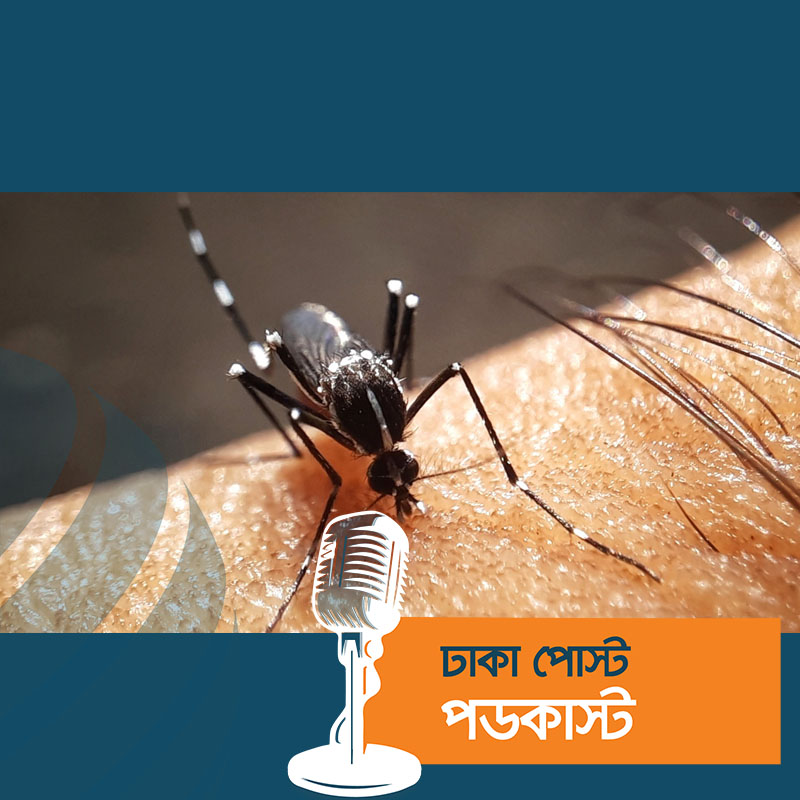 নতুন ৭৭ ডেঙ্গু রোগী হাসপাতালে ভর্তি