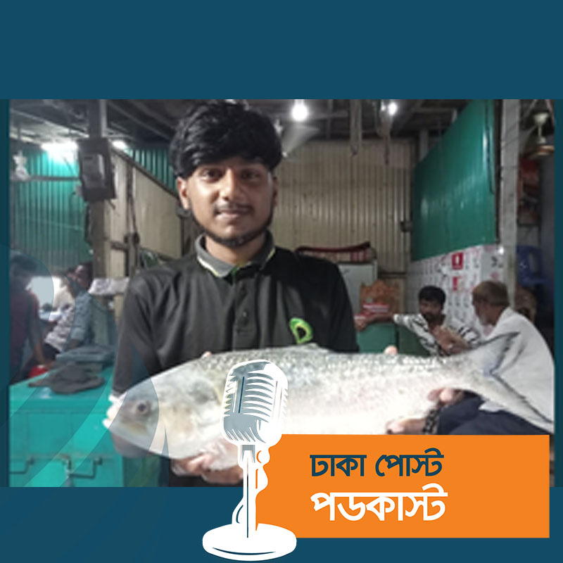 ইলিশে সয়লাব চাঁদপুরের মাছ ঘাট