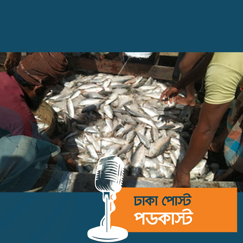 সাগর মোহনা থেকে ইলিশের ঝাঁক নিয়ে ফিরছেন জেলেরা