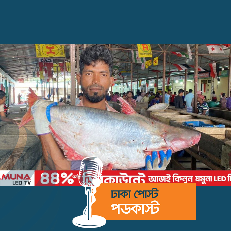 হাতিয়ায় জেলেদের জালে মিলছে ঝাঁকে ঝাঁকে পাঙ্গাস