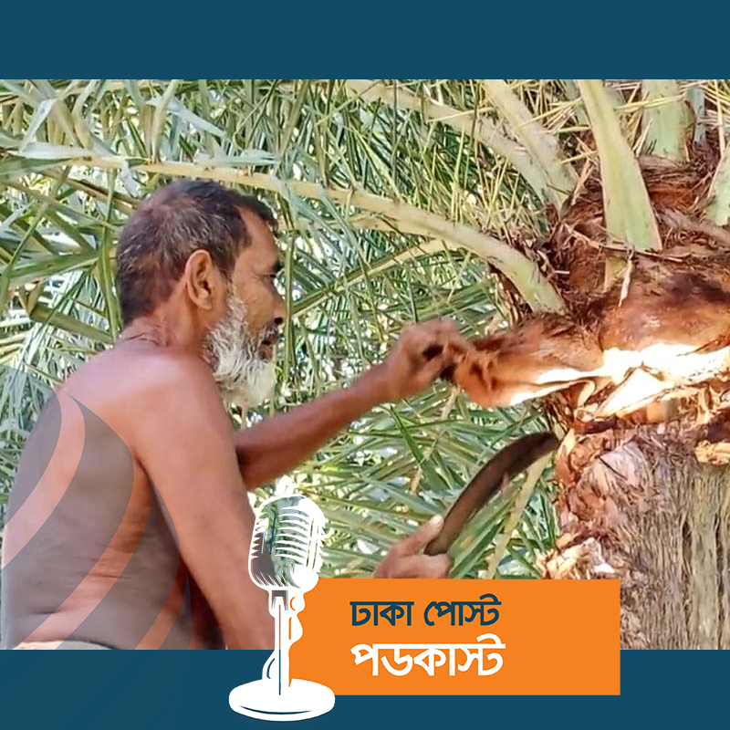 আসছে শীত, খেজুর রস সংগ্রহের প্রস্তুতিতে ব্যস্ত ঝিনাইদহের গাছিরা
