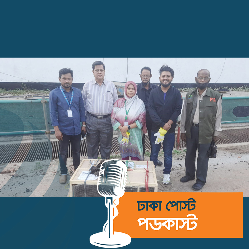 শাহজালাল বিমানবন্দরে ১০ বিদেশি ঈগল জব্দ, ২০ লাখ টাকা জরিমানা