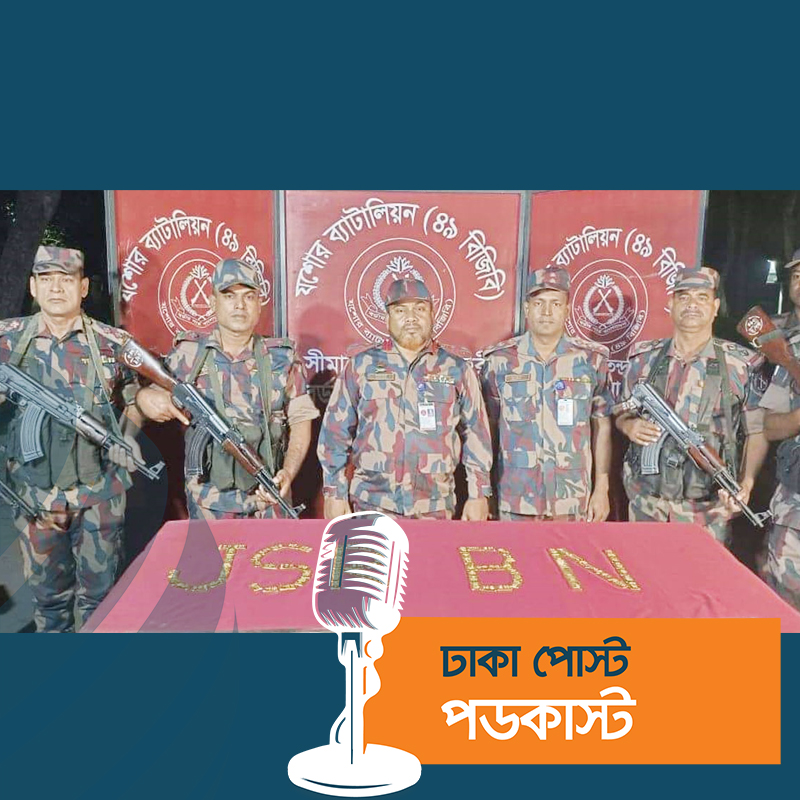 মরিচ ক্ষেতে মিলল ৮০ পিস স্বর্ণের বার