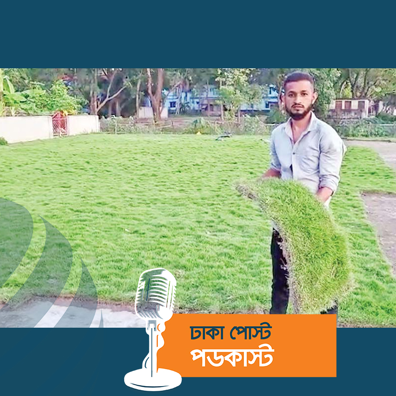 প্রবাস থেকে ফিরে মেক্সিকান ঘাস চাষে সফল রাব্বি