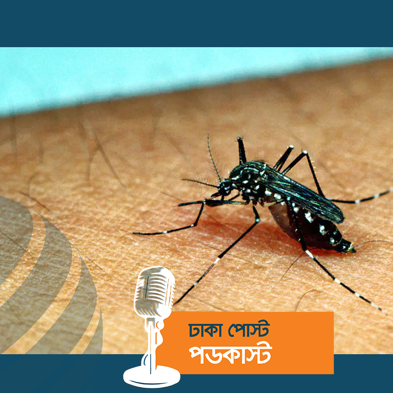 ডেঙ্গুতে আরও ৩ মৃত্যু, হাসপাতালে ভর্তি ৫২৫