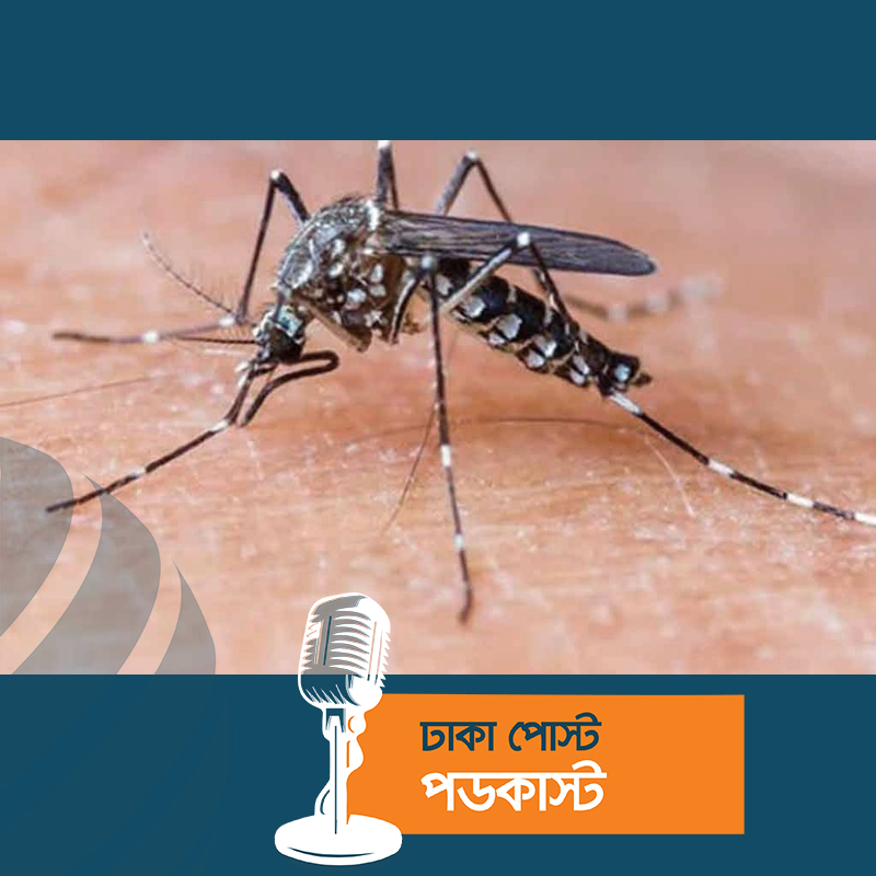 এক দিনে আরও ৬২৪ ডেঙ্গু রোগী হাসপাতালে, মৃত্যু ২