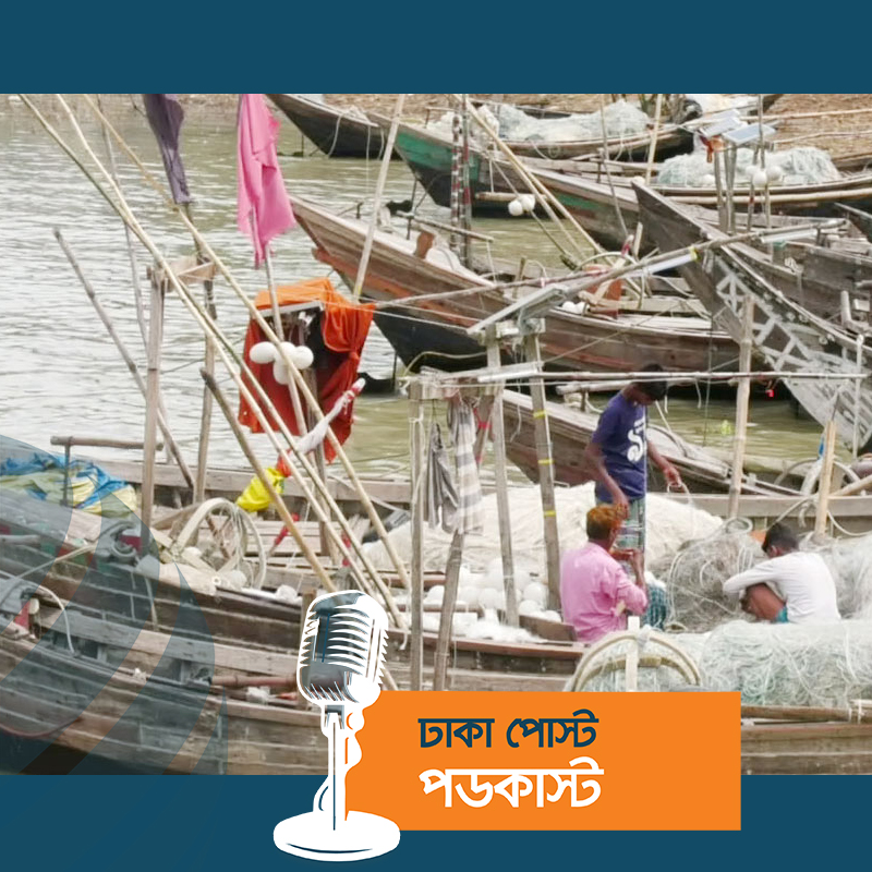 সিত্রাংয়ের প্রভাবে ভোলায় ইলিশের উৎপাদন বাড়বে : মৎস্য বিভাগ