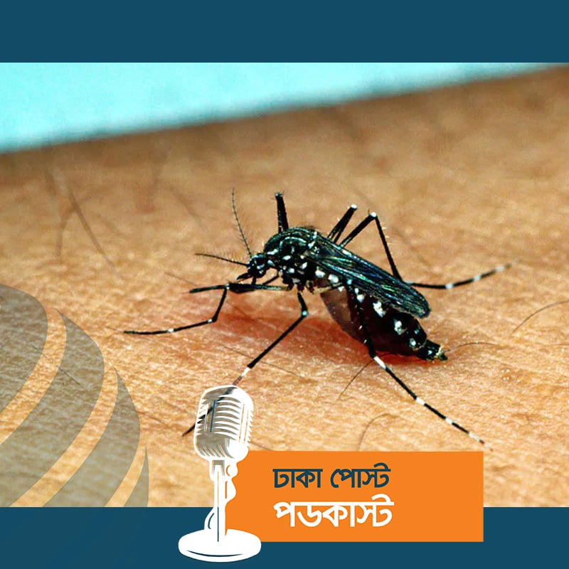 আরও ৩৩৪ ডেঙ্গু রোগী হাসপাতালে, মৃত্যু ১