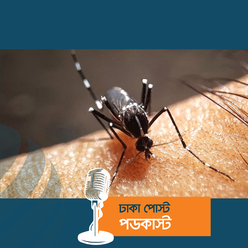 আরও ২ ডেঙ্গু রোগীর মৃত্যু, হাসপাতালে ভর্তি ৯২৩