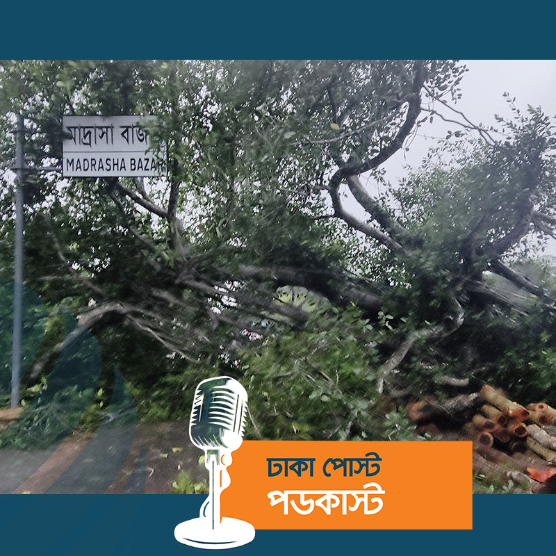 সিত্রাংয়ের প্রভাব, নড়াইলের সঙ্গে সারাদেশের যোগাযোগ বিচ্ছিন্ন