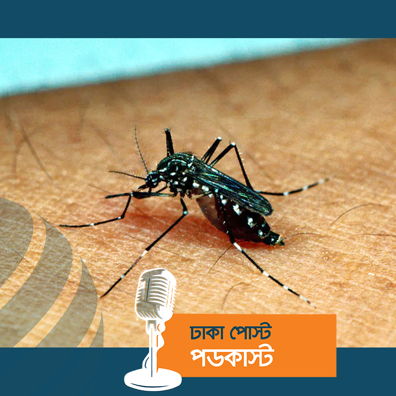 আরও ৫ ডেঙ্গু রোগীর মৃত্যু, হাসপাতালে ভর্তি ৪৪০