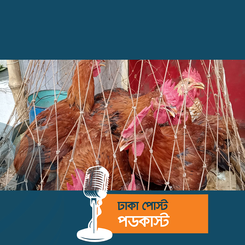 গরুর মাংস ৭০০ মুরগি ১৮০