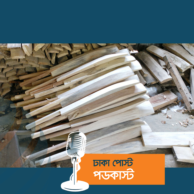 একটি গ্রামকে বদলে দিয়েছে ‘ক্রিকেট ব্যাট’