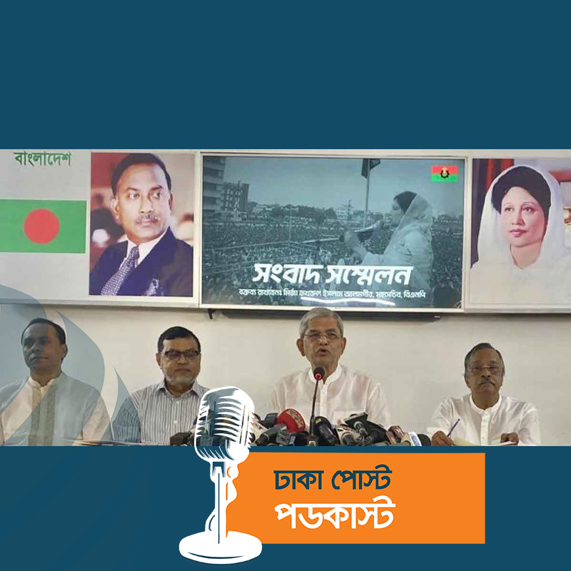 নির্বাচনকে বিএনপি নয়, আ.লীগ ভয় পায় : মির্জা ফখরুল