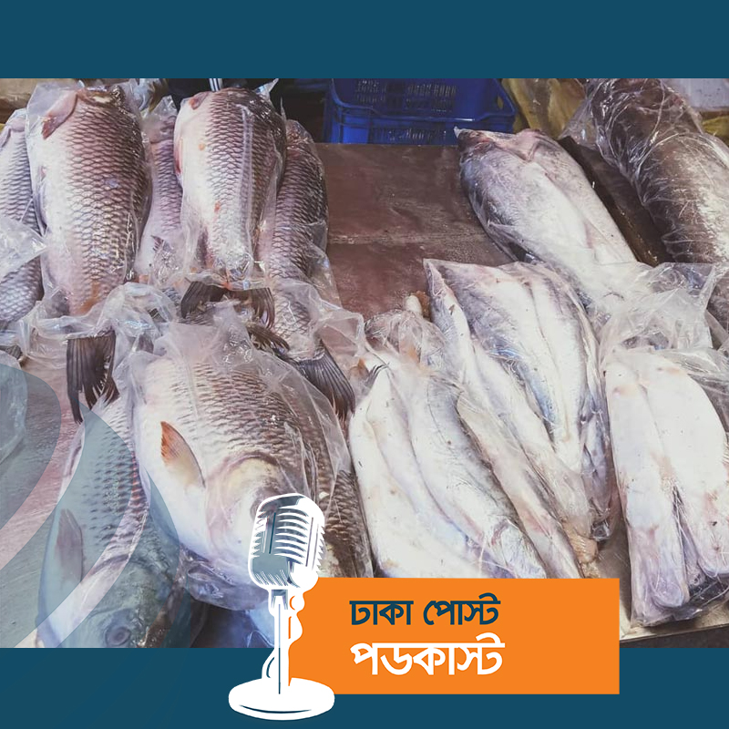 ইলিশ না থাকায় মাছের বাজারে উত্তাপ