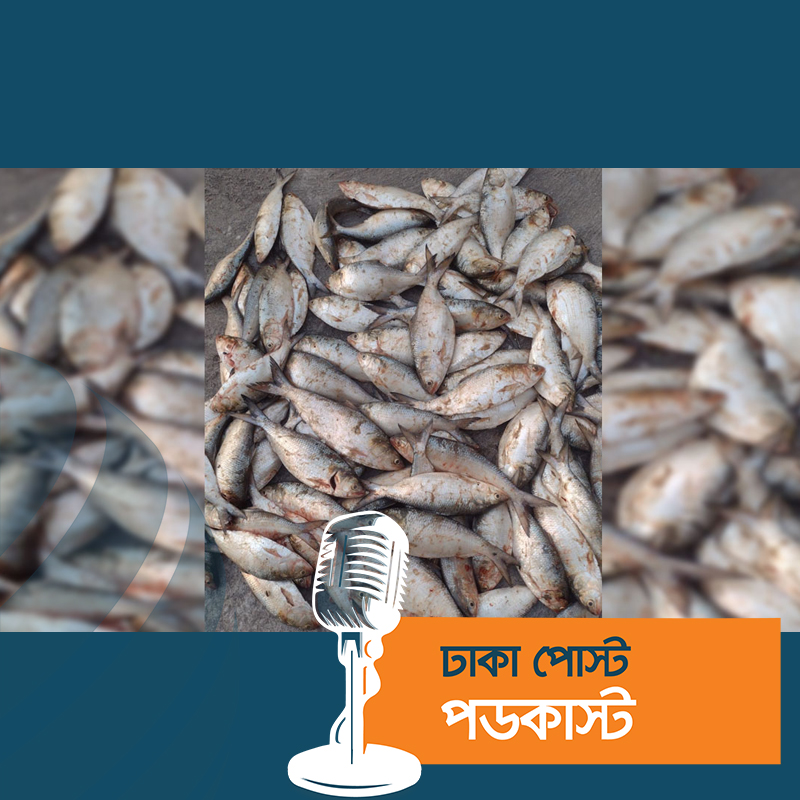 ১ মণ ইলিশ গেল এতিমখানায়