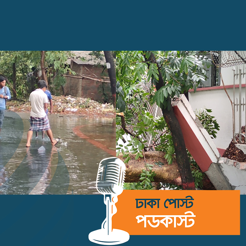 ঘূর্ণিঝড়ের প্রভাবে ঢাকা কলেজে ব্যাপক ক্ষয়ক্ষতি