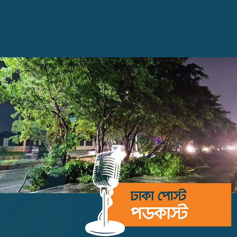 সড়কে পড়ে আছে গাছ, অন্ধকার অলি-গলিতে পানি