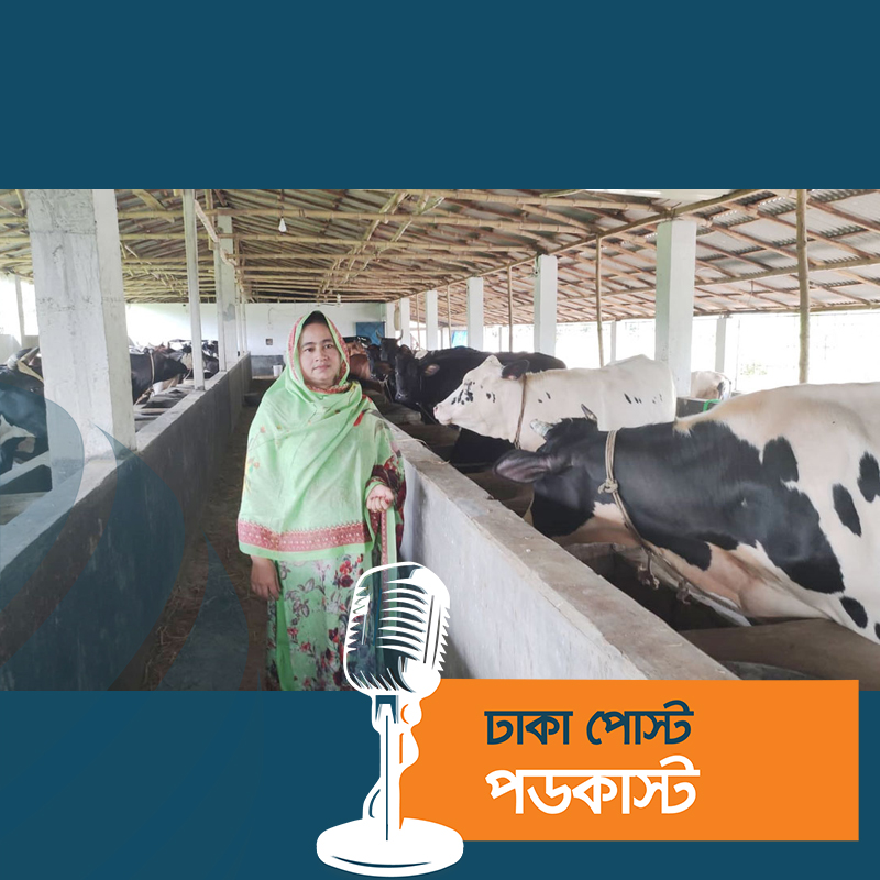 দুটি দিয়ে শুরু, জেসমিনের খামারে এখন ১০০ গরু