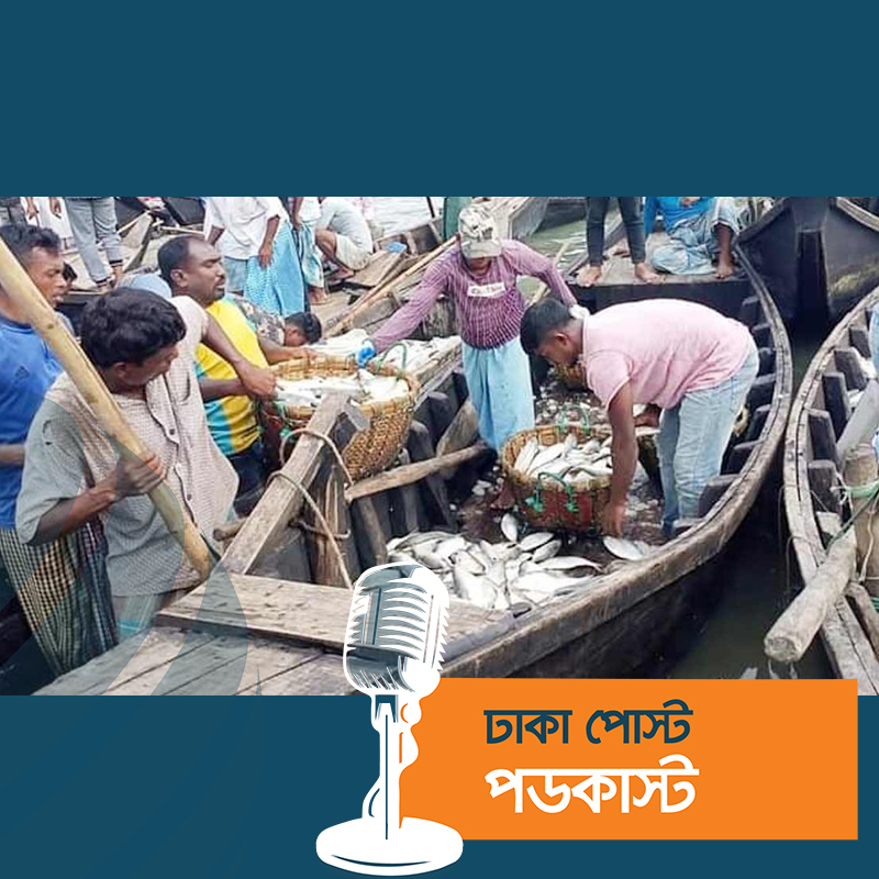 ইলিশ ধরা শুরু