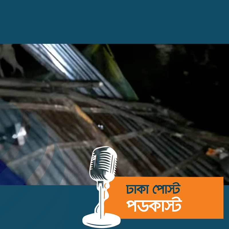 ঝড়ে ঘরের ওপর গাছ পড়ে প্রাণ গেল ১১৫ বছর বয়সী নারীর