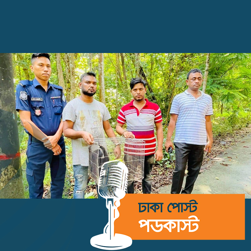 চট্টগ্রামে মহাবিপন্ন উল্লুক উদ্ধার, আটক ২