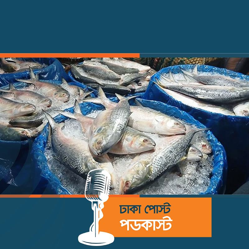 চাঁদপুরে বেড়েছে ইলিশের সরবরাহ, দাম চড়া