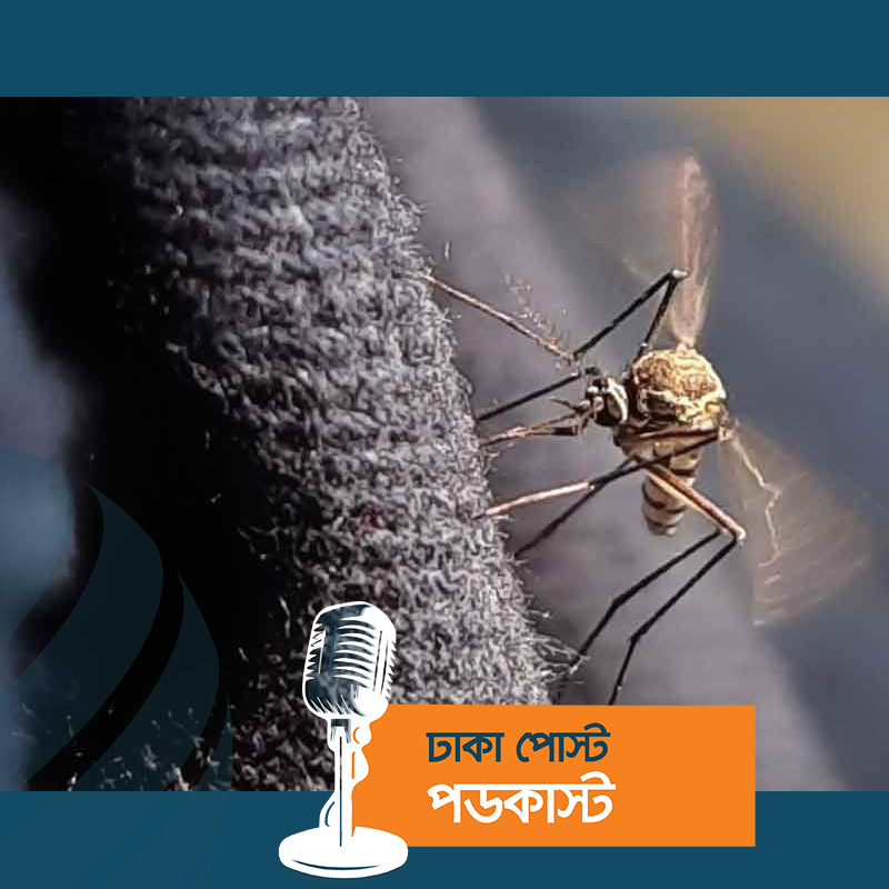 ২৪ ঘণ্টায় ডেঙ্গু আক্রান্ত হয়ে ৩৯২ রোগী হাসপাতালে ভর্তি
