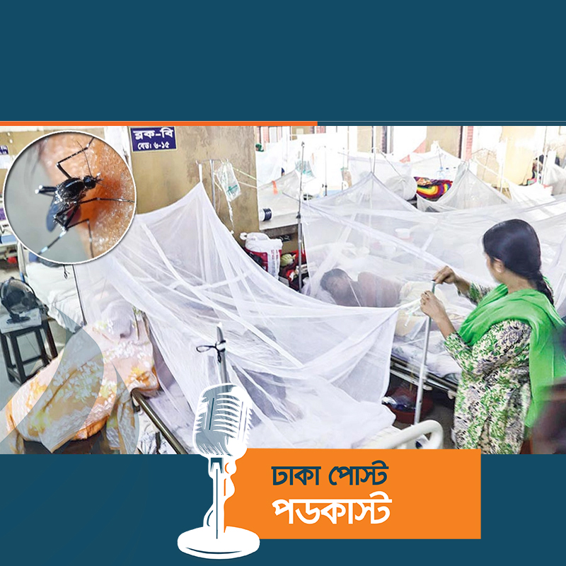 ডেঙ্গুতে আরও এক মৃত্যু, হাসপাতালে ভর্তি ৪৩১