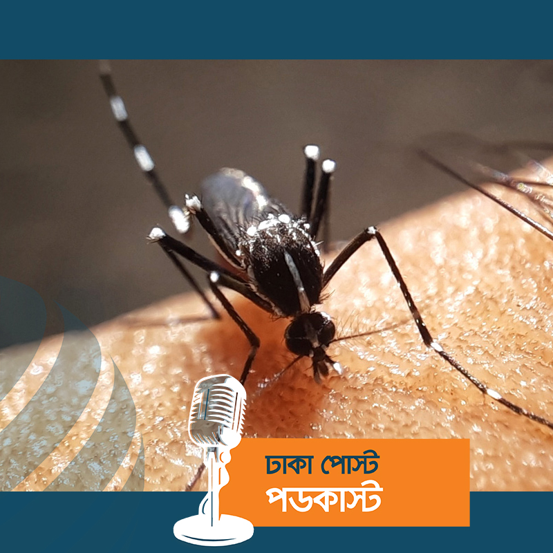 ডেঙ্গুতে আরও ৪ জনের মৃত্যু, নতুন রোগী ৩৪৫