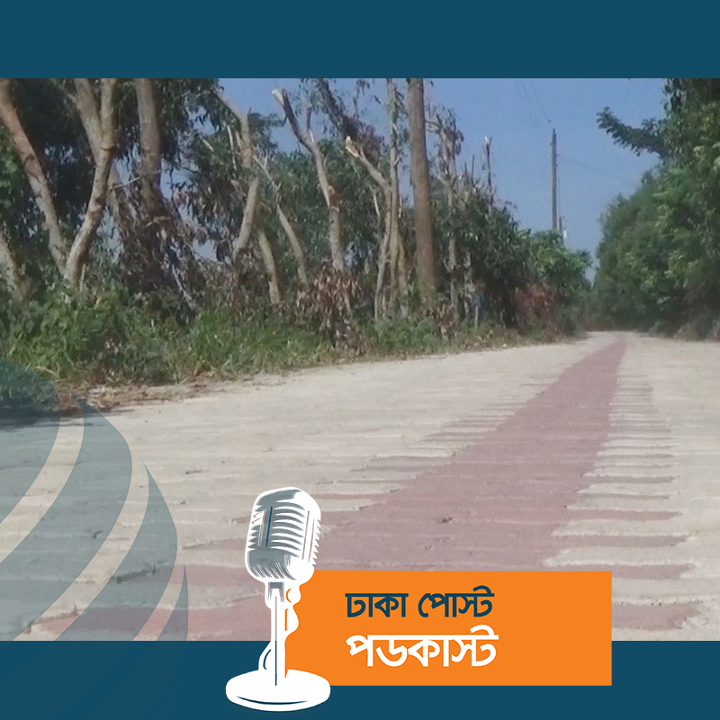 গোপালগঞ্জে প্রথম ইউনিব্লকের সড়ক, কমেছে লাখো মানুষের ভোগান্তি