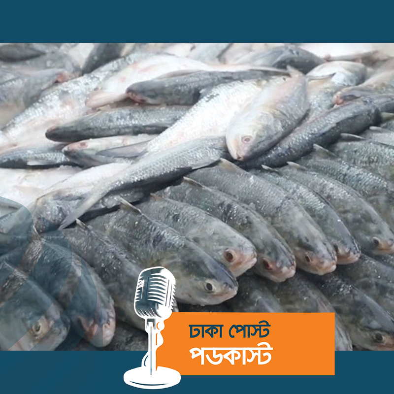 ভারতে ইলিশ রপ্তানি বন্ধ করতে রিট