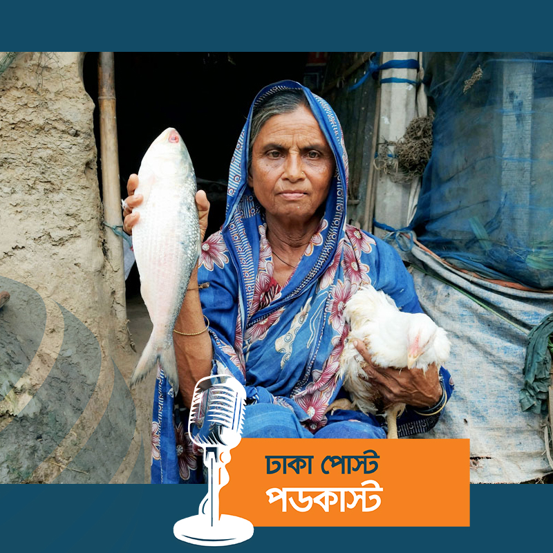 ইলিশ পেয়ে আপ্লুত অসহায় সুফিয়া