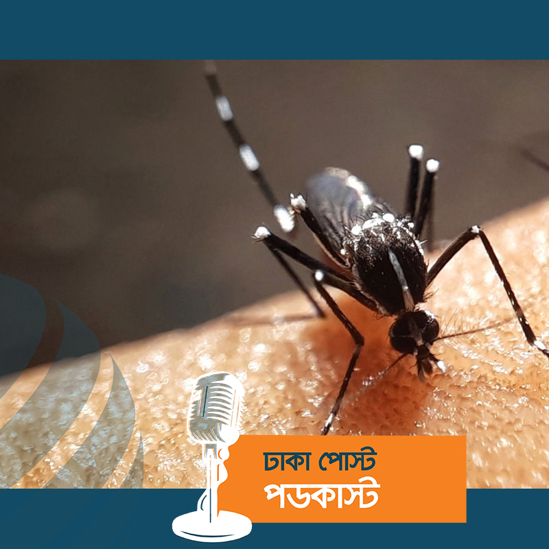 এক দিনে রেকর্ড ৩৬০ ডেঙ্গু রোগী হাসপাতালে ভর্তি, মৃত্যু ১