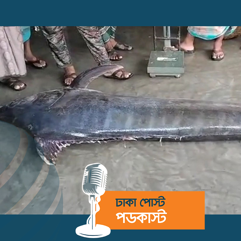 জেলের জালে ধরা পড়ল ১৮৫ কেজি ওজনের পাখি মাছ